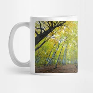 Green beech forest illuminated by the sun, low and wide angle view Mug